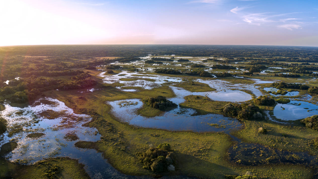 Pantanal