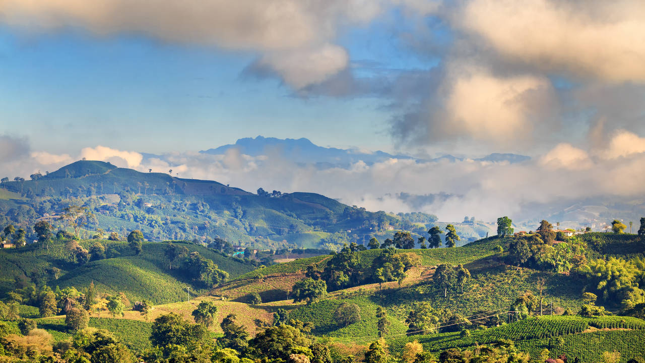 Koffieregio rondom Manizales