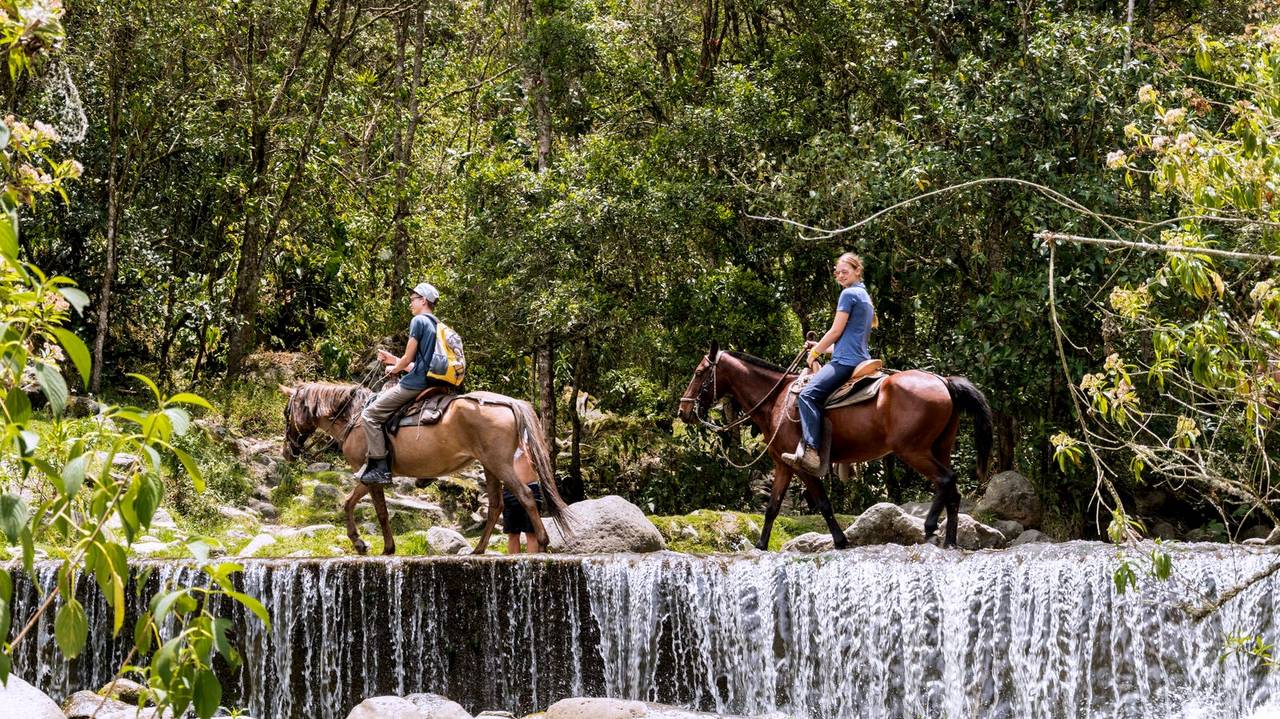 Paardrijden in Cocora Valley