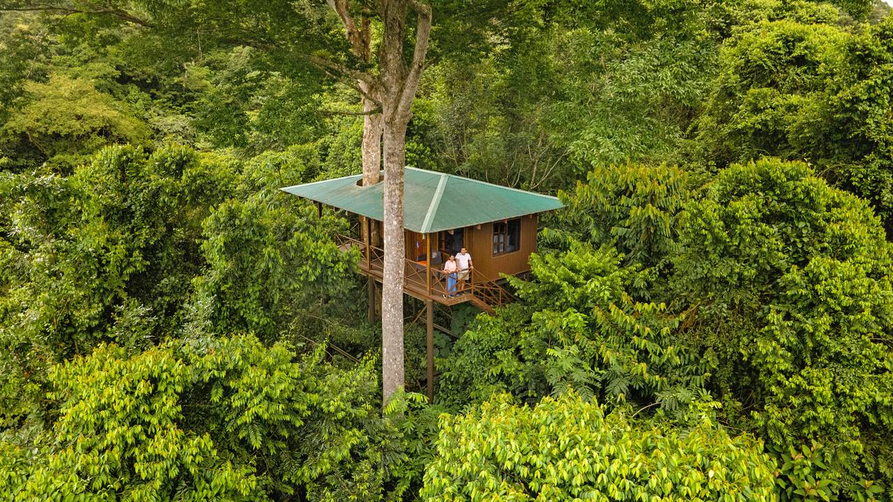 Boomhut in Maquenque Eco Lodge