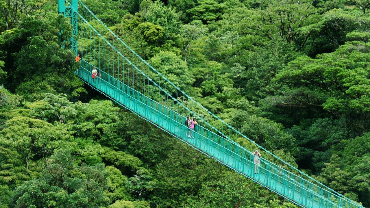 Hangbruggen in Monteverde