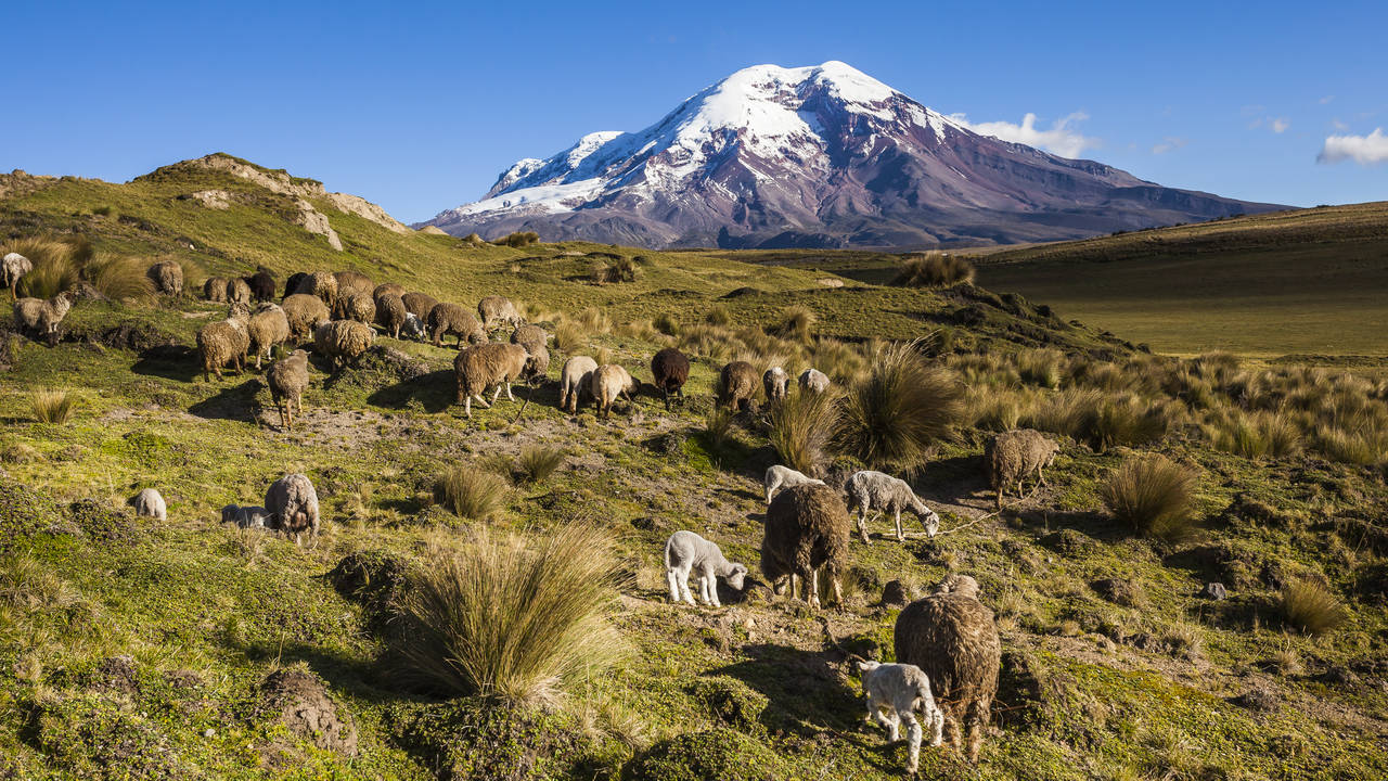 Chimborazo Vulkaan