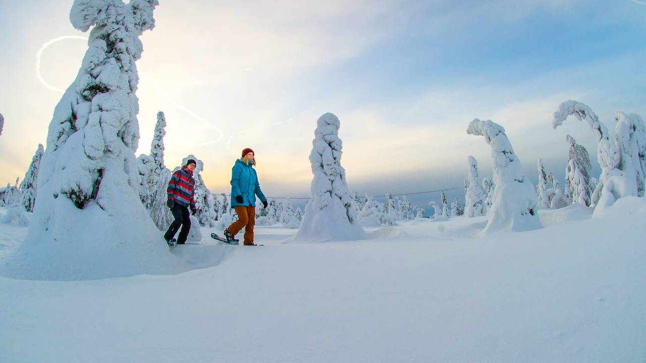 Sneeuw wandeling in Fins Lapland