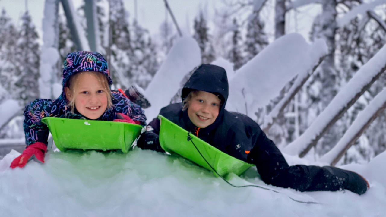 Sleeën in winters Lapland