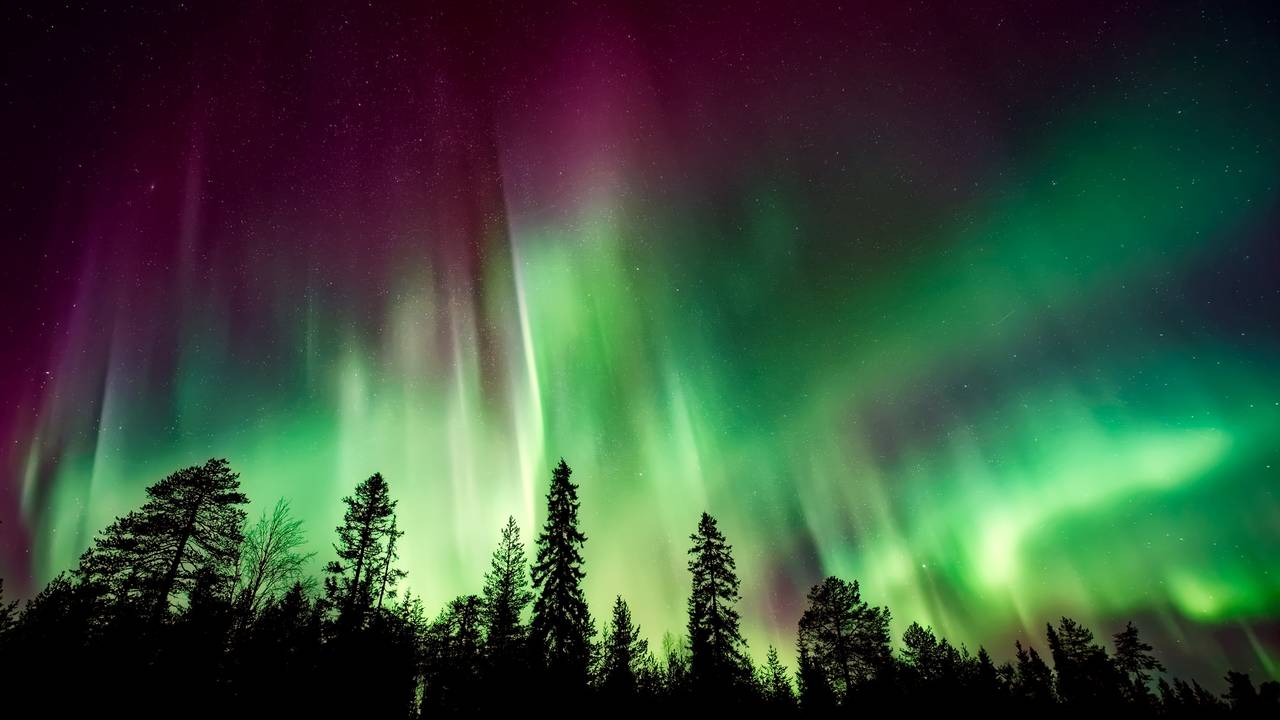 Sfeerimpressie Best of Finnish Lapland