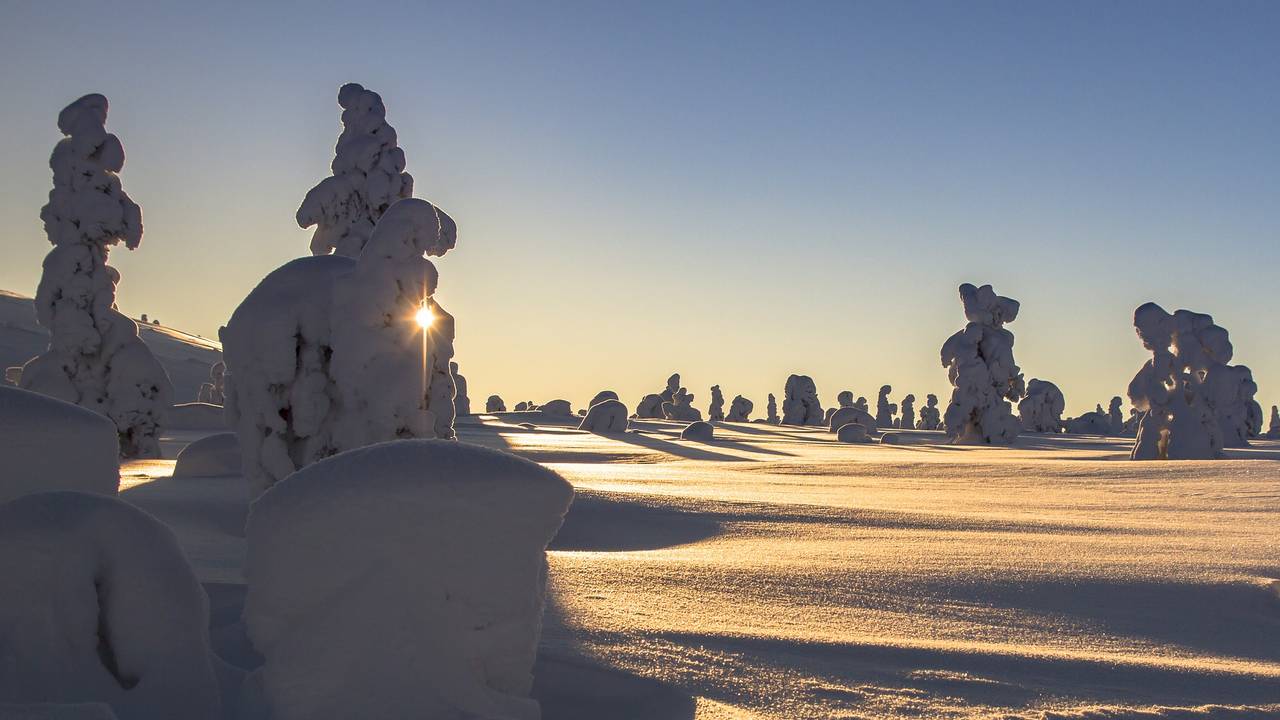 Zonsondergang in winters Lapland