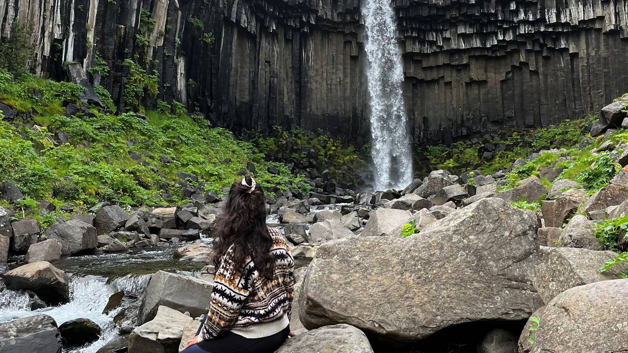 Bij Svartifoss, IJsland