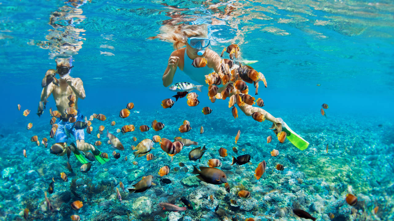 Snorkelen bij Pemuteran