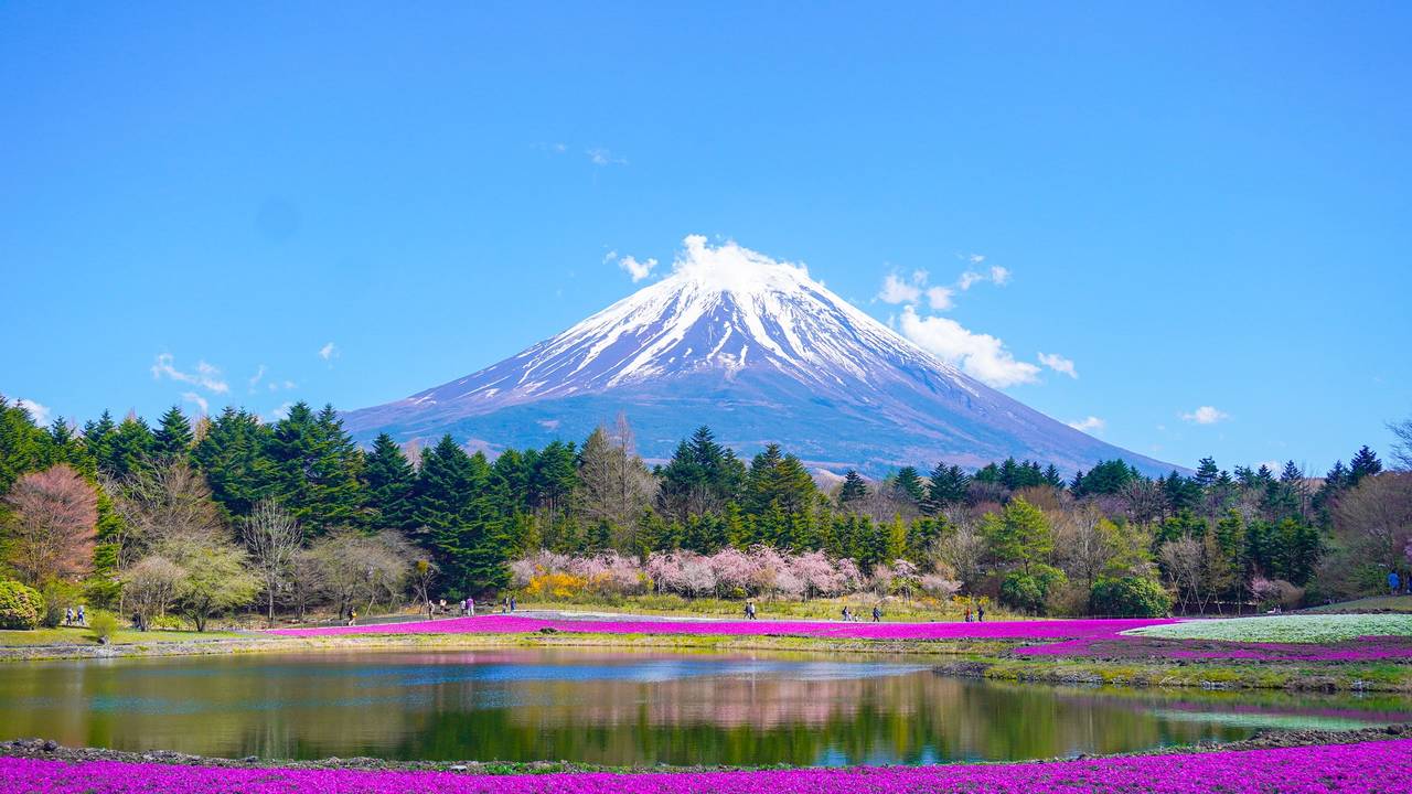 Mount Fuji