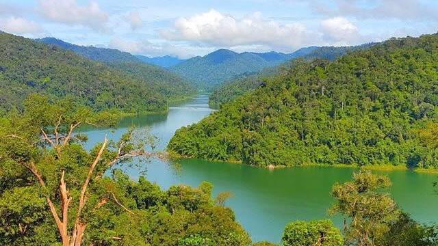 Belum Rainforest