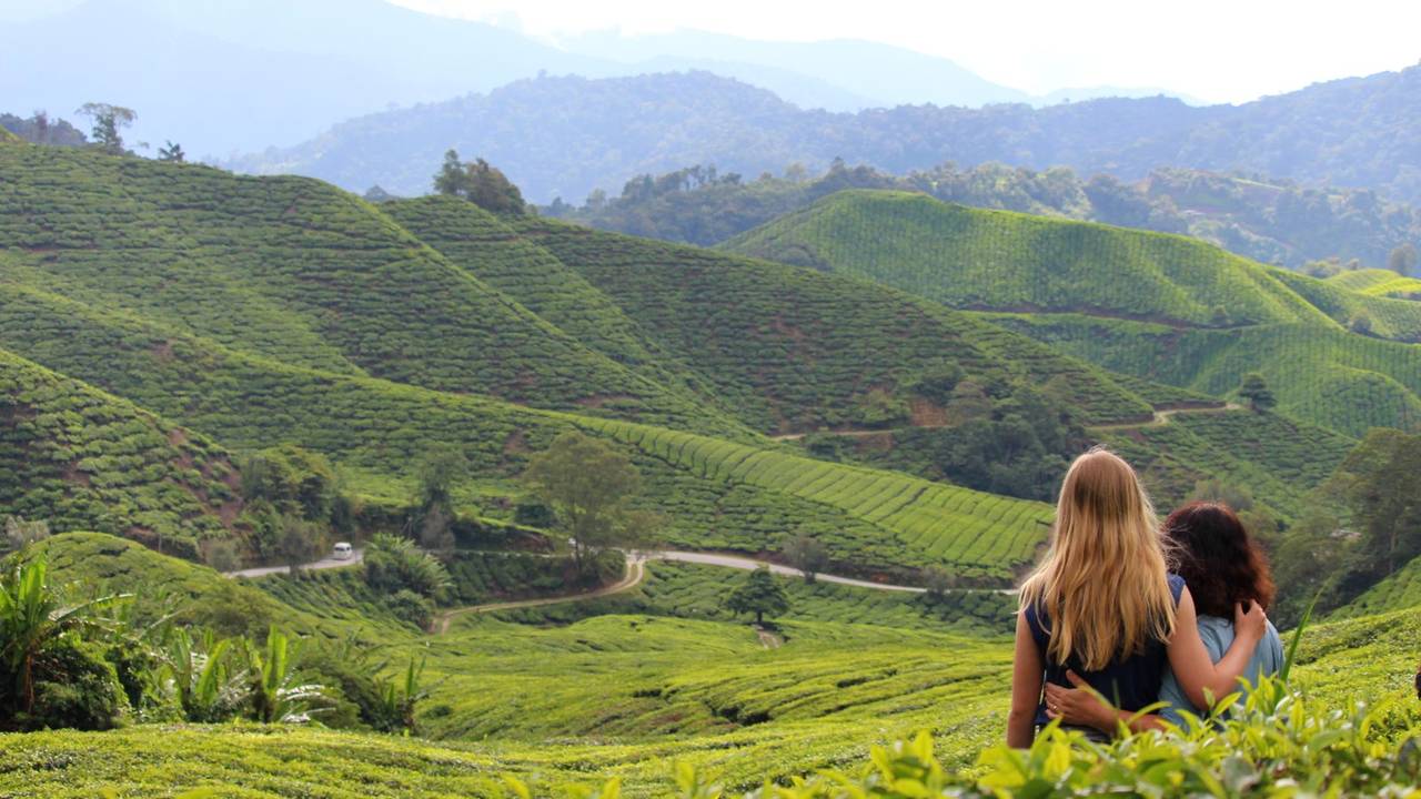 Cameron Highlands