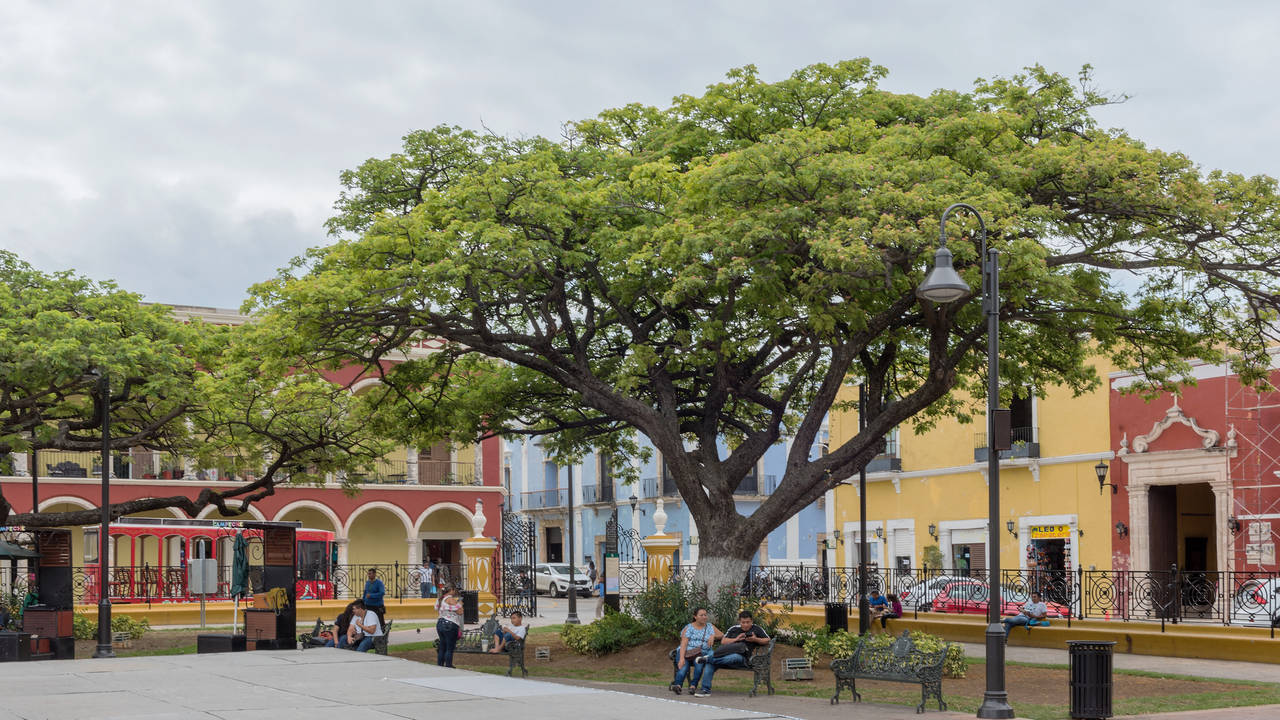 Plein in Campeche