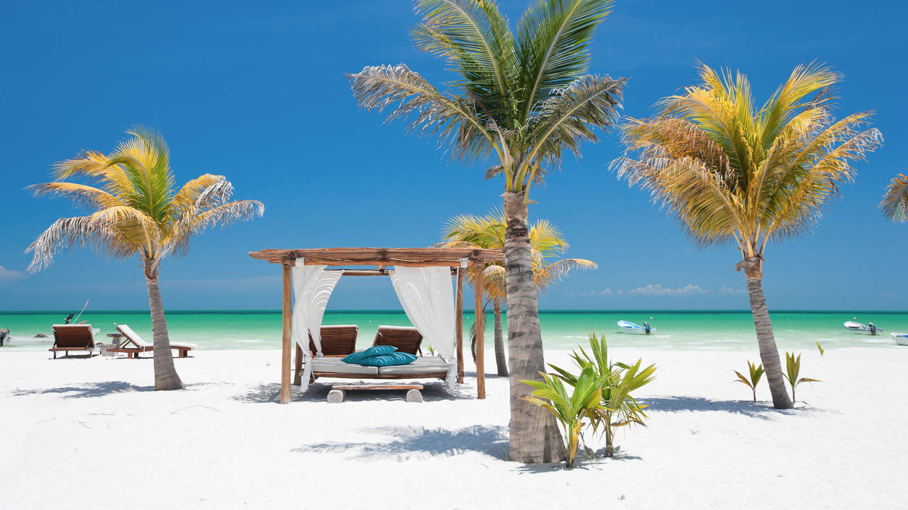 Explore Tropical Yucatán