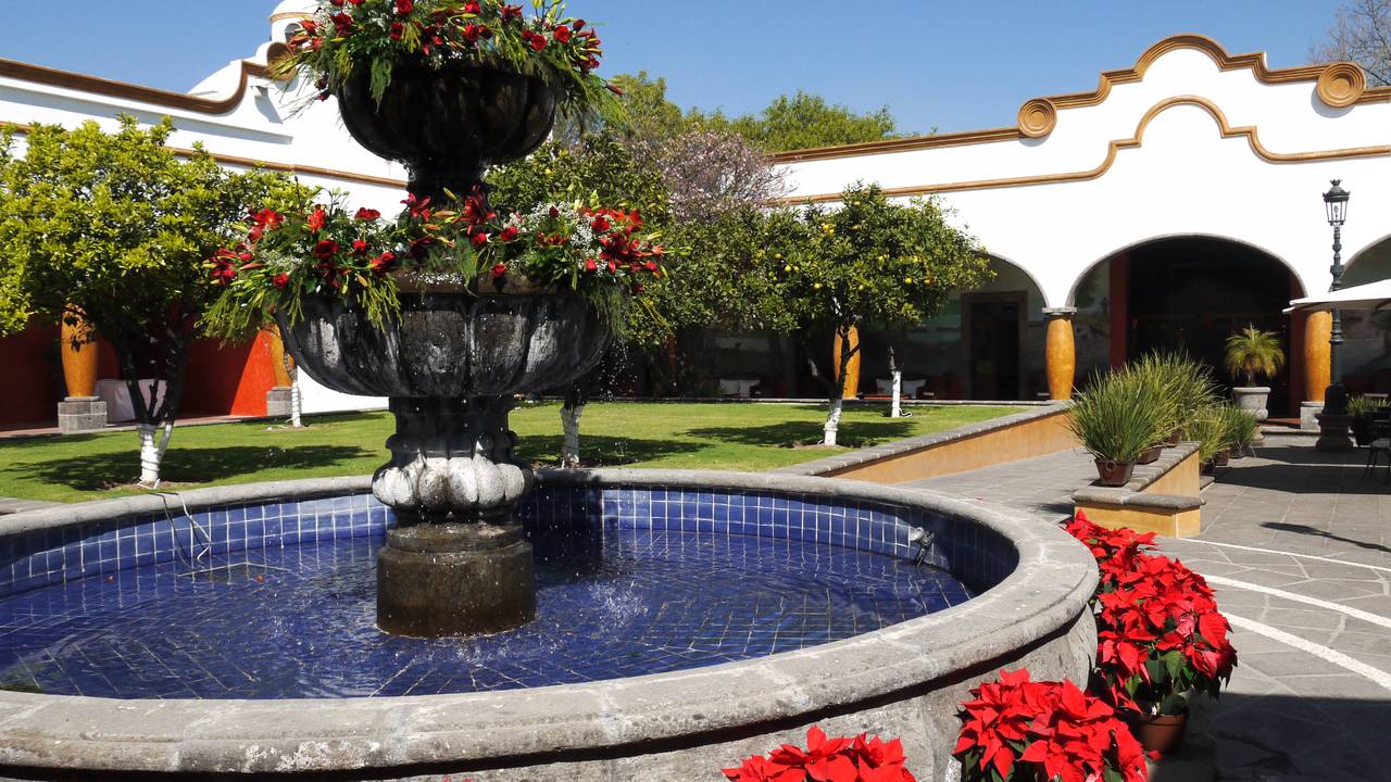 Kerstboom van Mexico