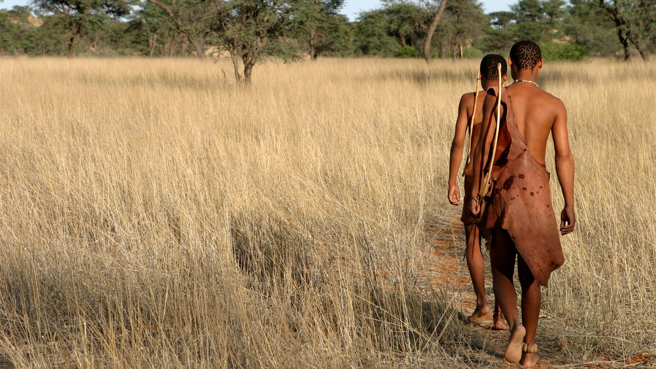 San bushmen in de Kalahari