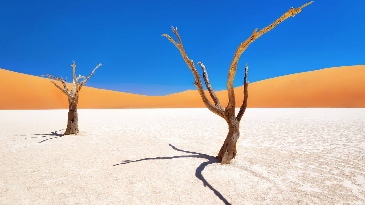 Deadvlei, Sossusvlei, Namibië
