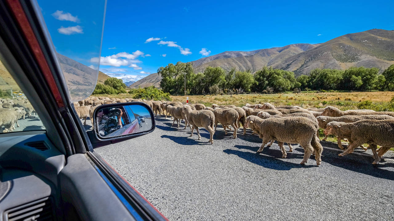 Onderweg in Nieuw-Zeeland