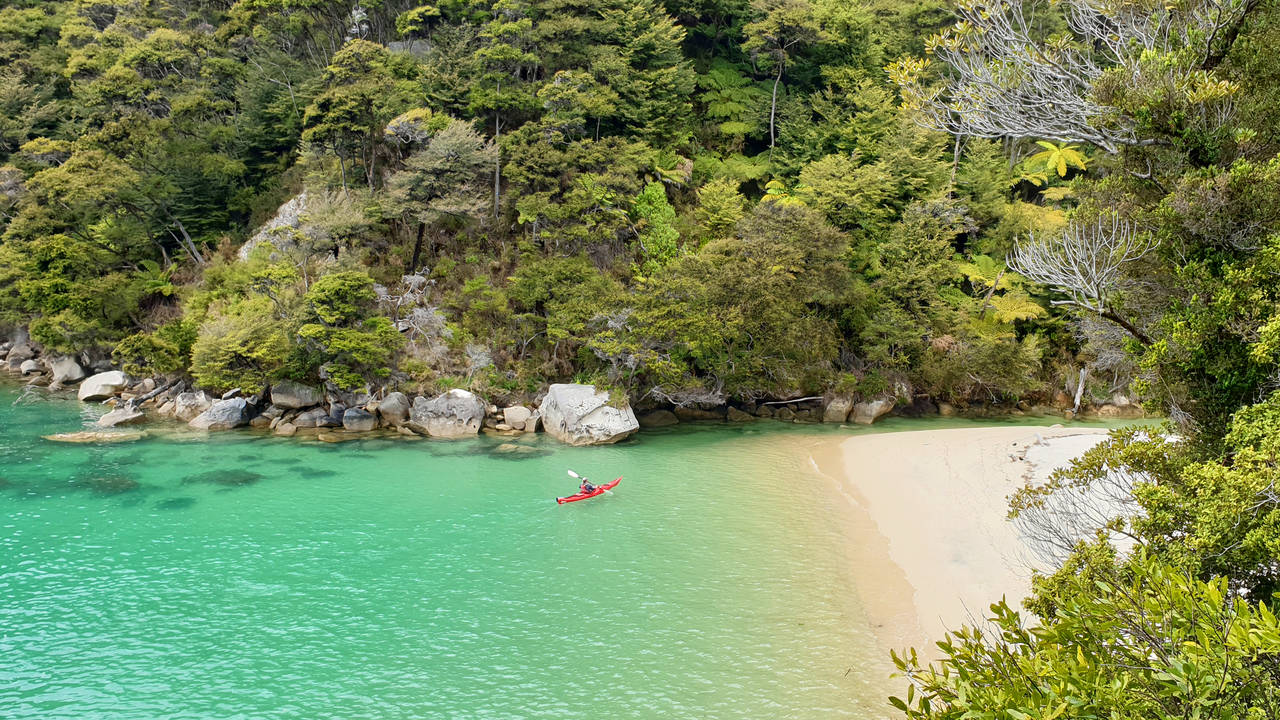 Kajakken in Abel Tasman National Park