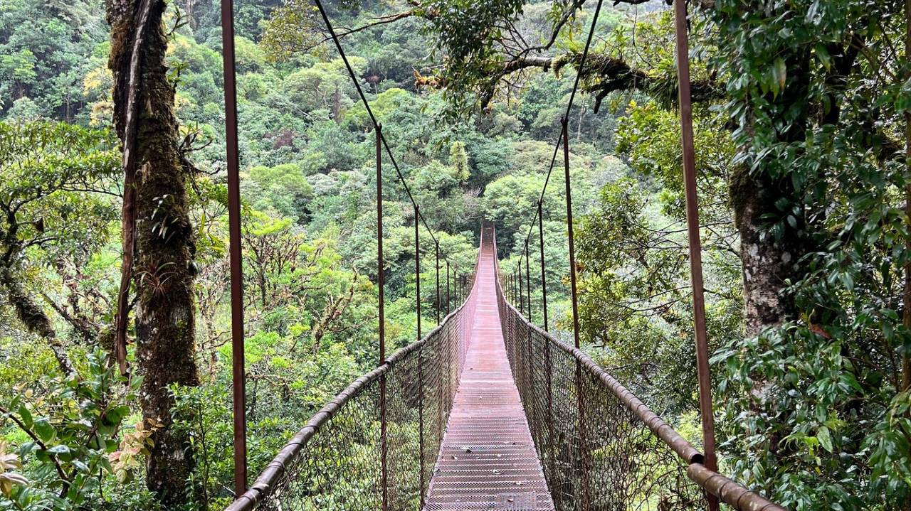 Hangende brug in Boquete