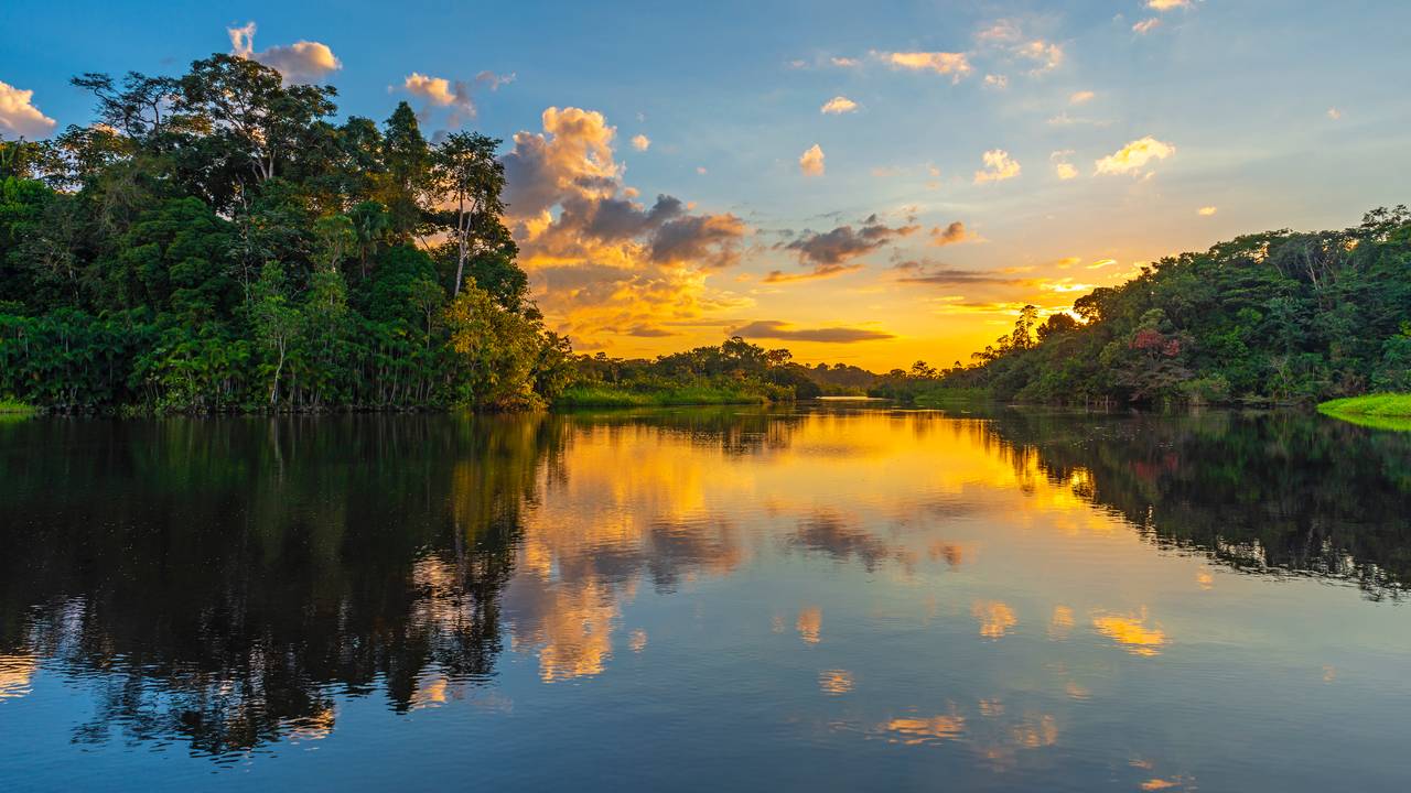 Zonsopgang in de Amazone