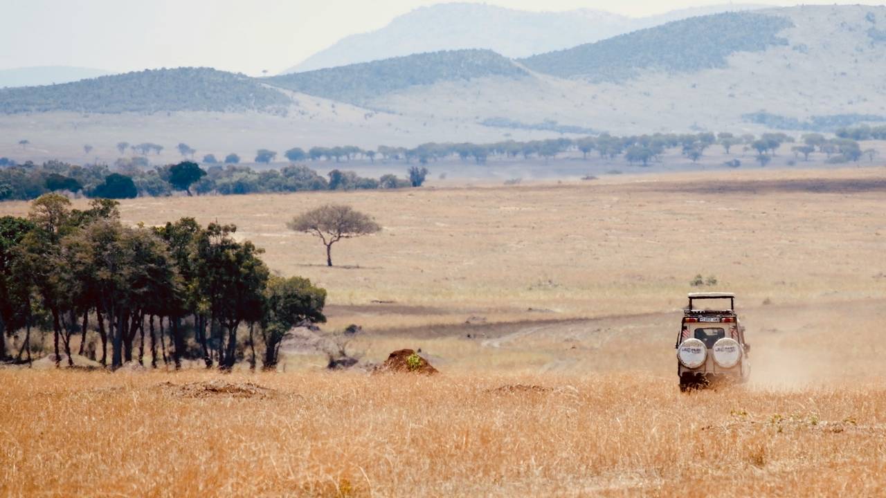 Op safari in de Serengeti