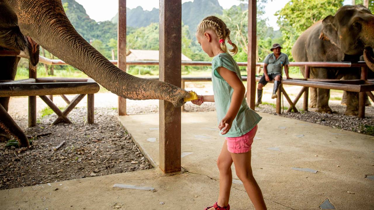Olifanten voeren in Thailand