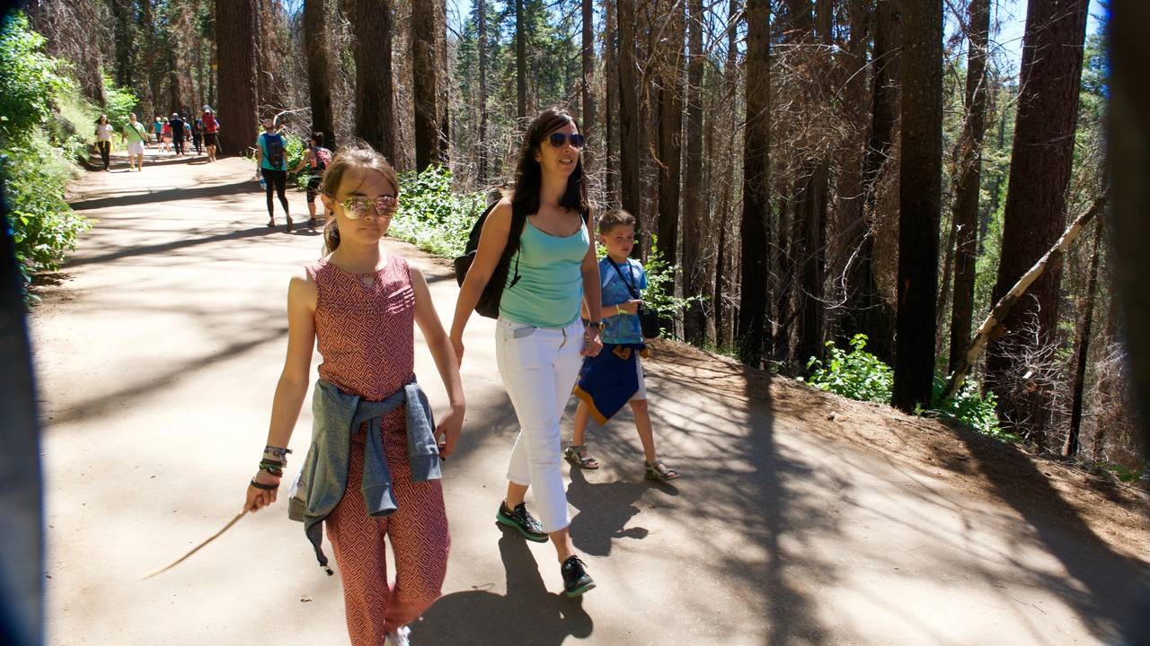 Wandelen in Yosemite