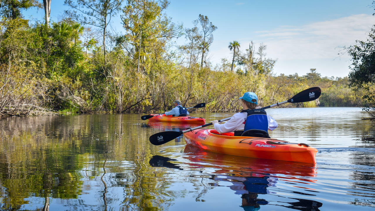 Kajakken in de Everglades in Florida