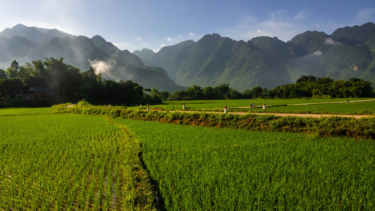 Uitzicht op rijstvelden Mai Chau