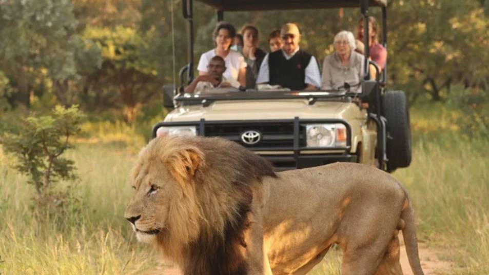 Op safari in Entabeni Game Reserve