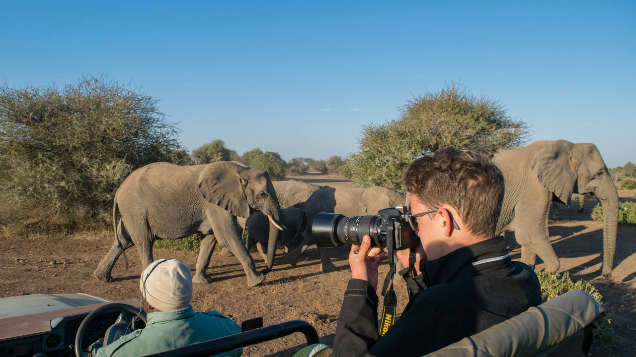 Safari in het Krugerpark