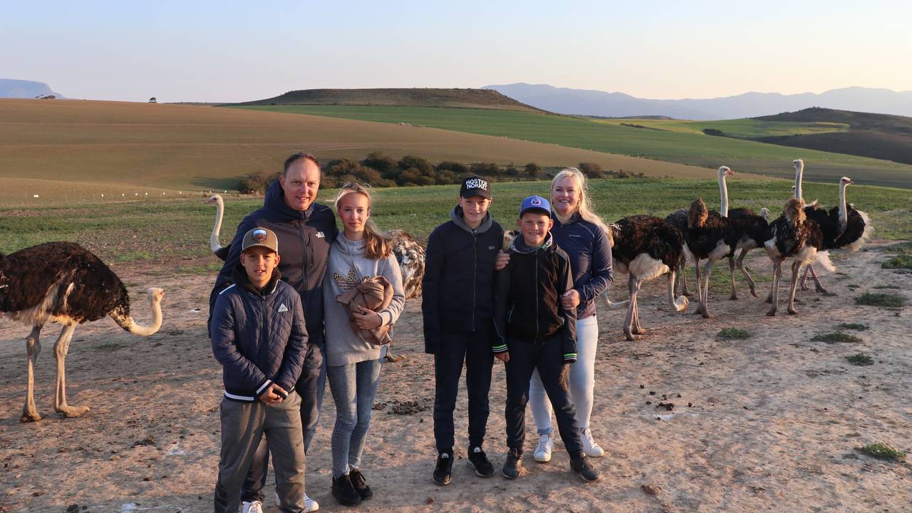 Struisvogelboerderij in Oudtshoorn