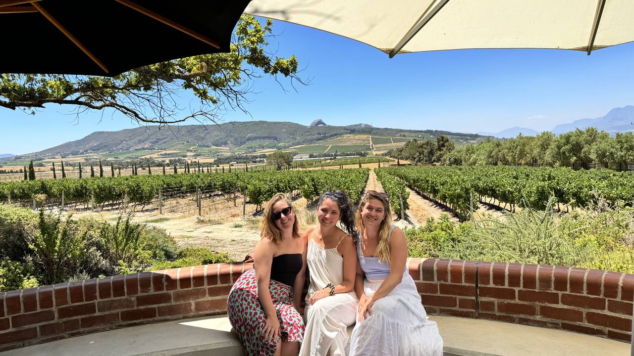 Wijngaarden van Franschhoek