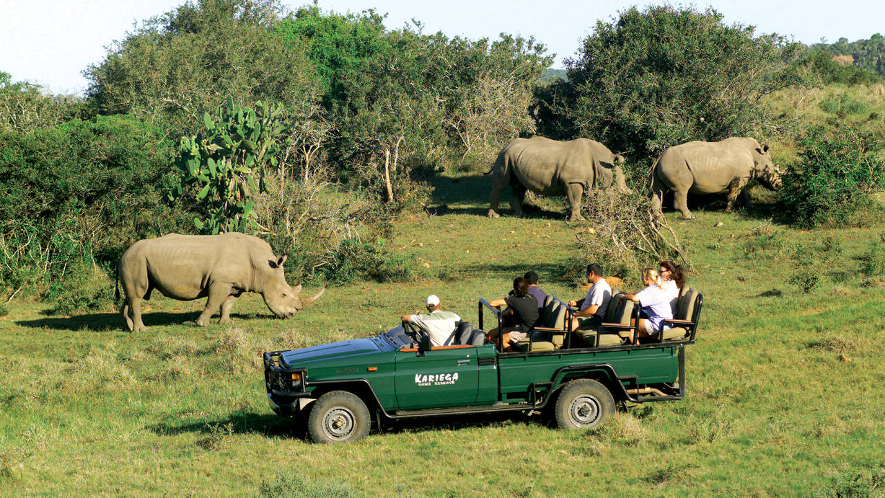 Kariega Game Drive Safari