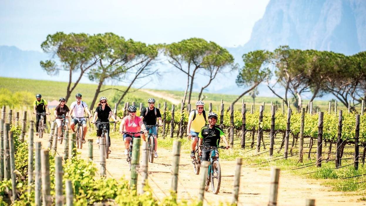 Fietsen in Stellenbosch