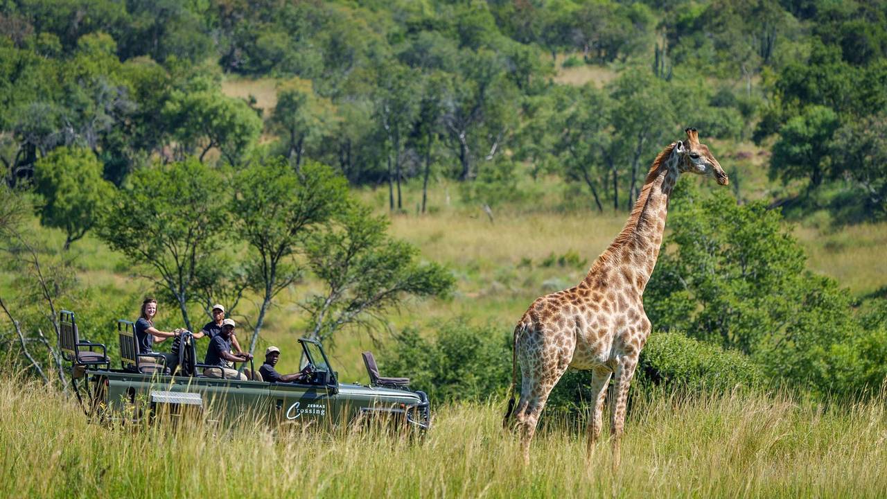 Op safari in Waterberg