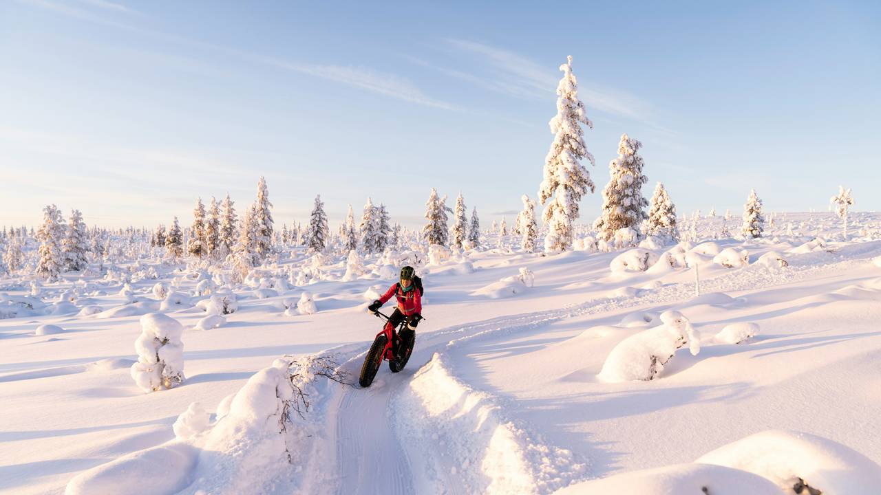Sneeuwfiets in Lapland