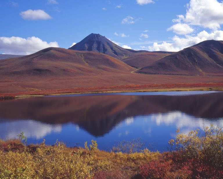 Denali Nationaal Park, Alaska