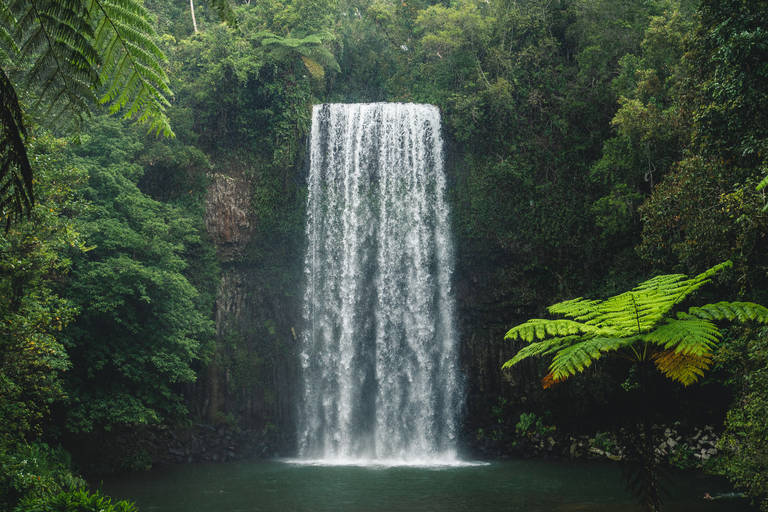 Millaa Millaa Falls, Atherton Tablelands, Queensland