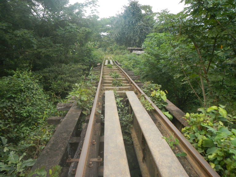 Rails van de bamboetrein