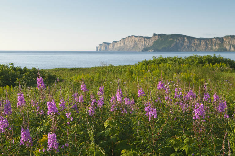 Landschap van Percé