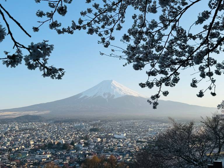 Mount Fuji