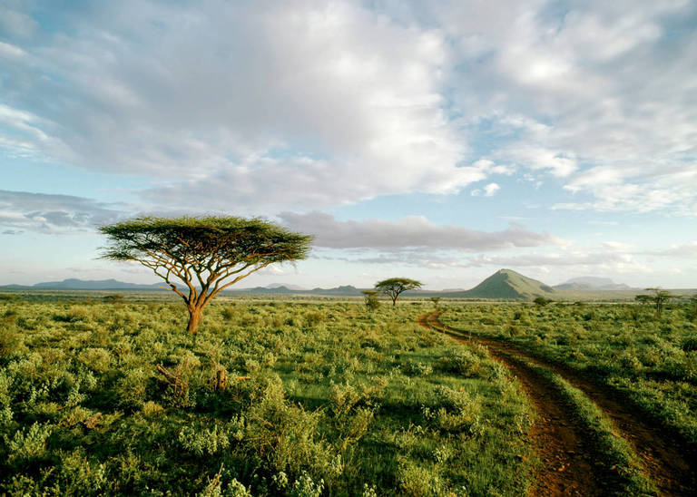 Dirt road door Tsavo National Park