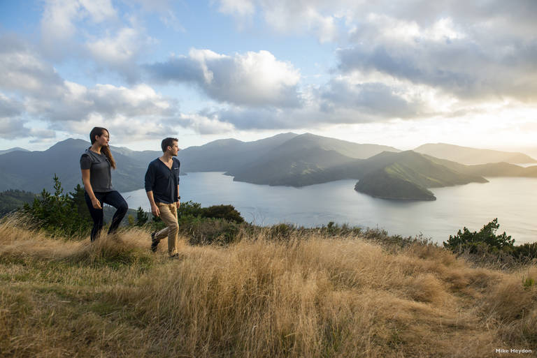 Uitzicht bij Marlborough Sounds