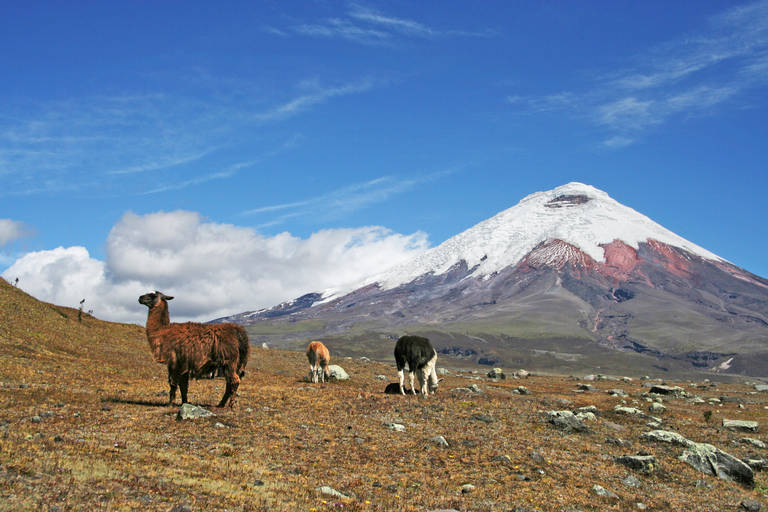 Cotopaxi, Ecuador