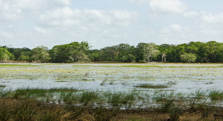 Wilpattu National Park