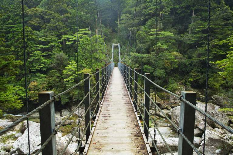 Yakushima Island