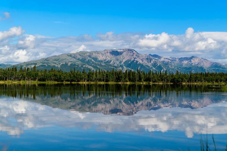 Denali National Park