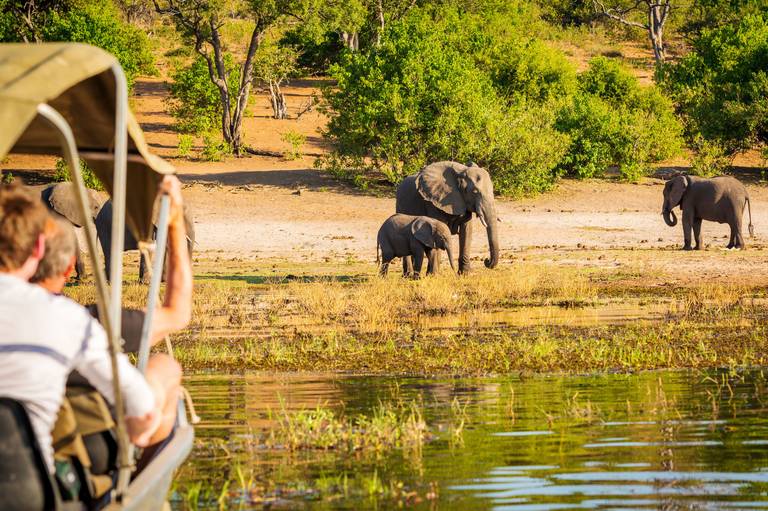 Op safari in Botswana