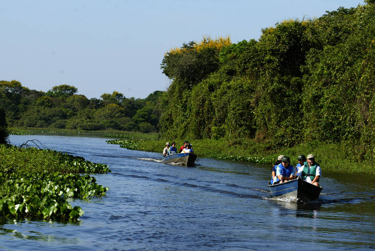 Pantanal